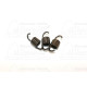 kuplung rugó szett HONDA DIO AF18/25 / GILERA / PEUGEOT / PIAGGIO / KYMCO / PGO gyári STANDARD